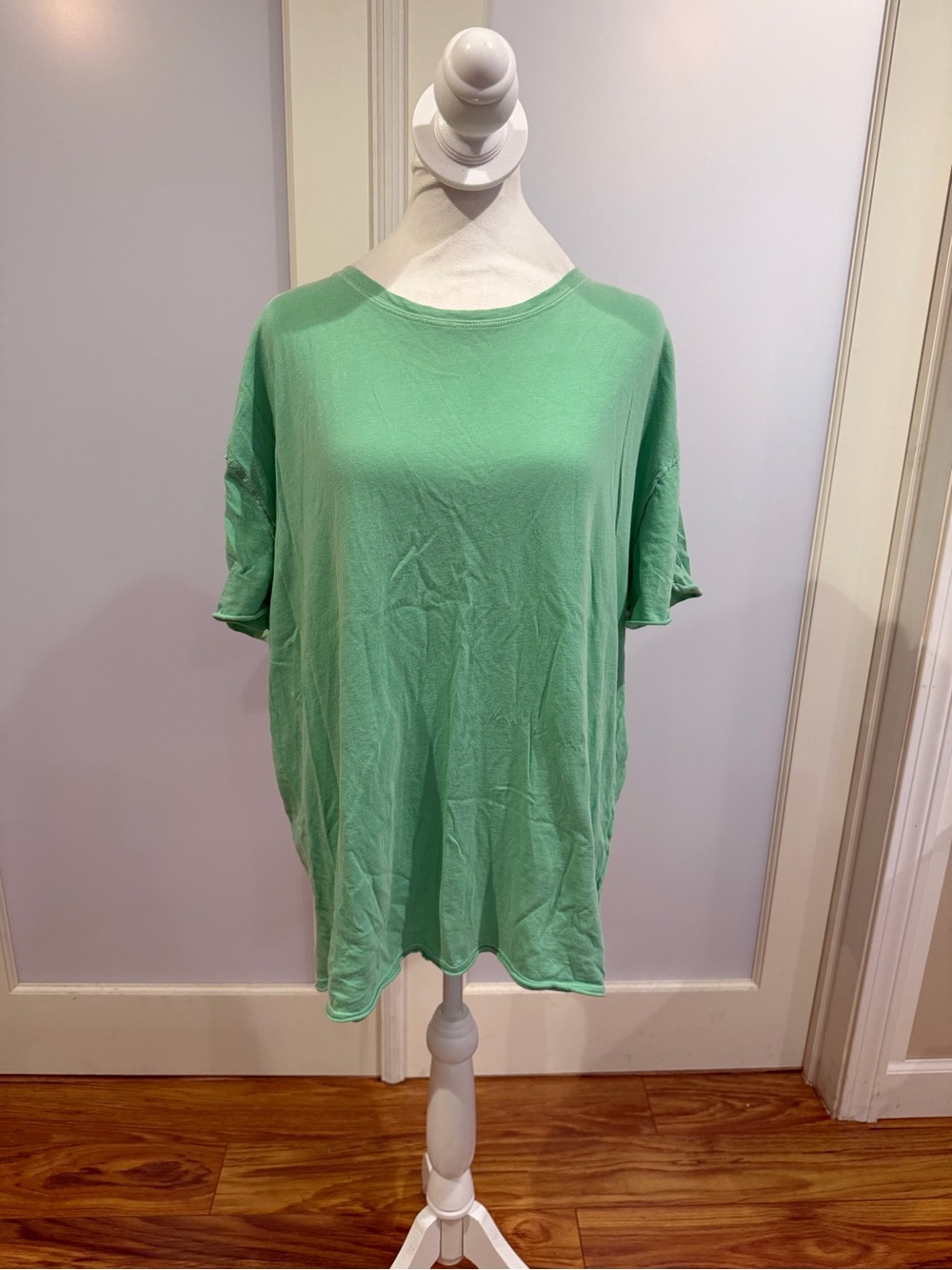 We The Free Relaxed Short Sleeve Tee in Mint